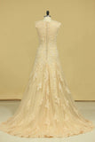 Champagne V-Neck Wedding Dresses A Line Court Train With Applique