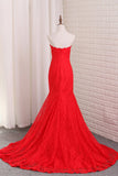 Mermaid Lace Evening Dresses Sweep Train New