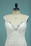 New Arrival Wedding Dresses V Neck Mermaid Tulle With Applique Chapel