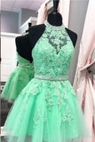 A Line Homecoming Dresses Halter Beaded Bodice Short/Mini Tulle Zipper