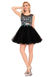 Homecoming Dresses A-Line Scoop Short/Mini Tulle With