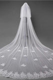 3D Flowers Lace Appliques Tulle Ivory Wedding Veils