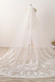 3M Long Embroidered Lace Appliques Tulle Cathedral Veil for Wedding Wedding Veil